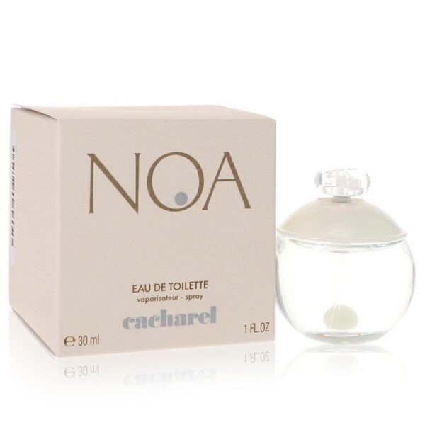 418905 | Plenty of Perfumes