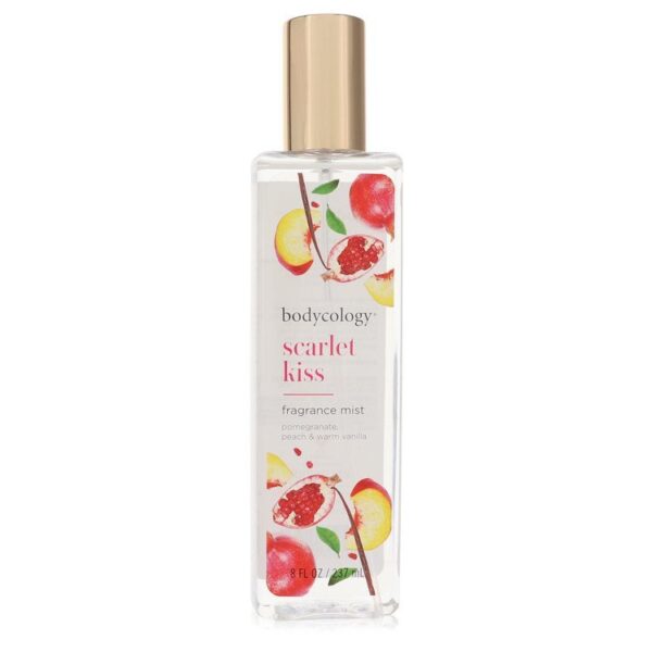 530512 1 | Plenty of Perfumes