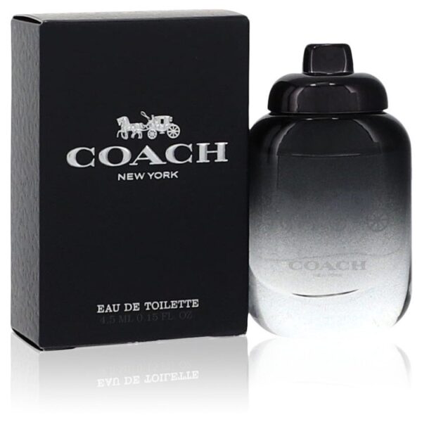 556273 | Plenty of Perfumes