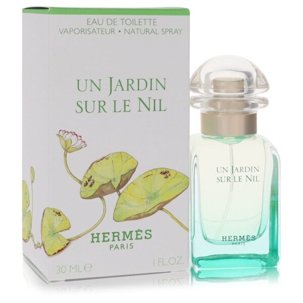 559422 | Plenty of Perfumes