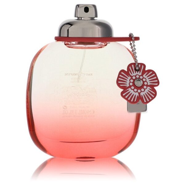 559526 | Plenty of Perfumes