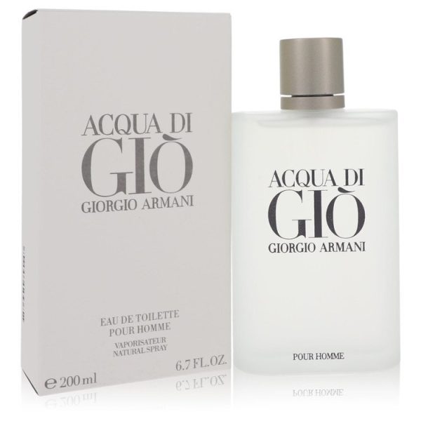416545 | Plenty of Perfumes