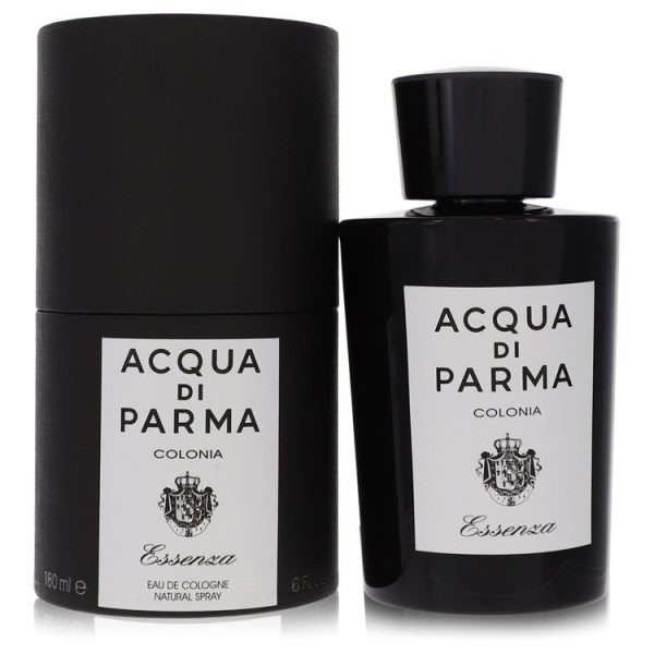 499962 | Plenty of Perfumes