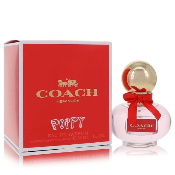 501859 | Plenty of Perfumes