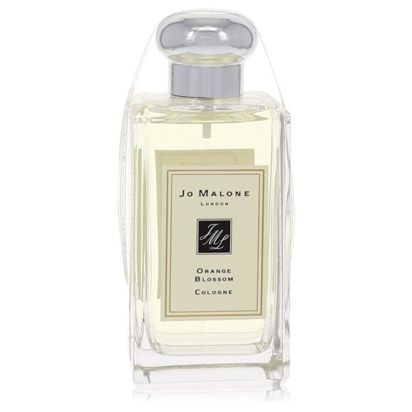 510556 | Plenty of Perfumes