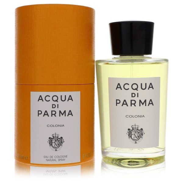513454 | Plenty of Perfumes