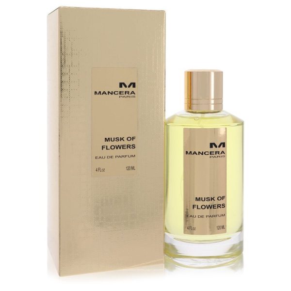 536913 | Plenty of Perfumes