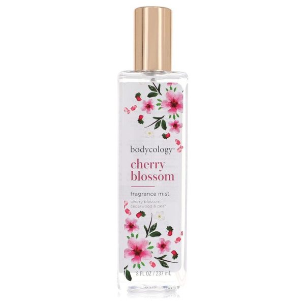538301 | Plenty of Perfumes
