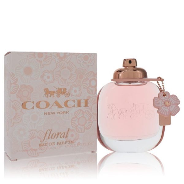 540935 | Plenty of Perfumes