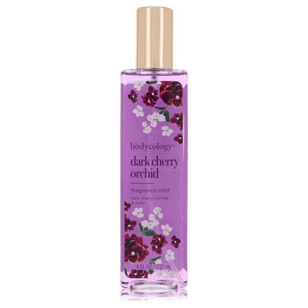 541765 1 | Plenty of Perfumes