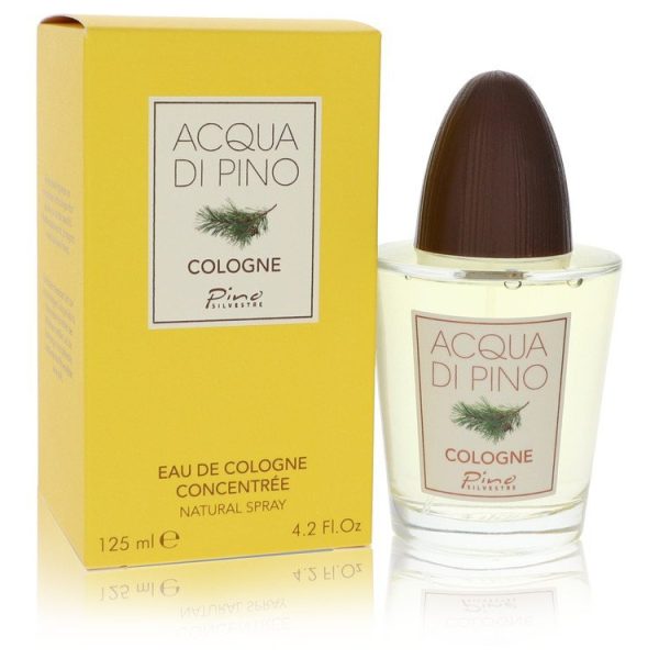 557387 | Plenty of Perfumes