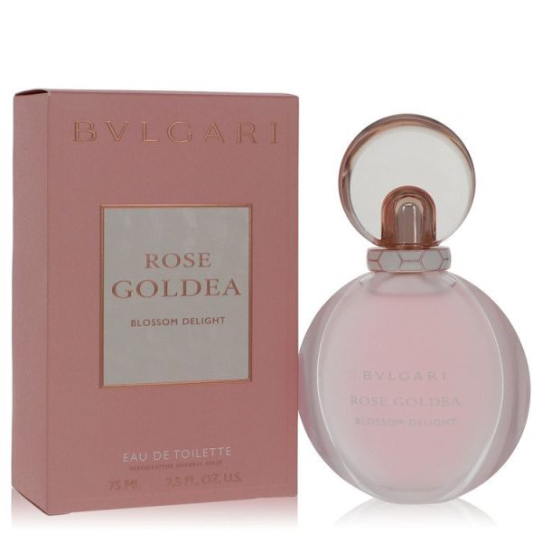 562099 | Plenty of Perfumes