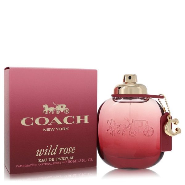562607 | Plenty of Perfumes