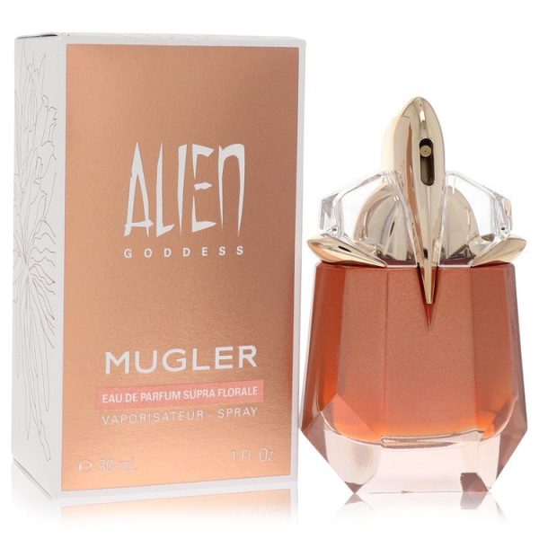 565346 | Plenty of Perfumes