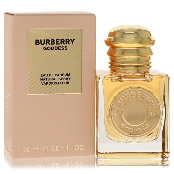 565626 | Plenty of Perfumes