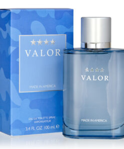 Dana valor 3.4 eau de toilette spray for men