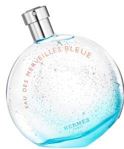Hermes Eau Des Merveilles Bleue Tester 3.4 Eau de Toilette Spray for Women