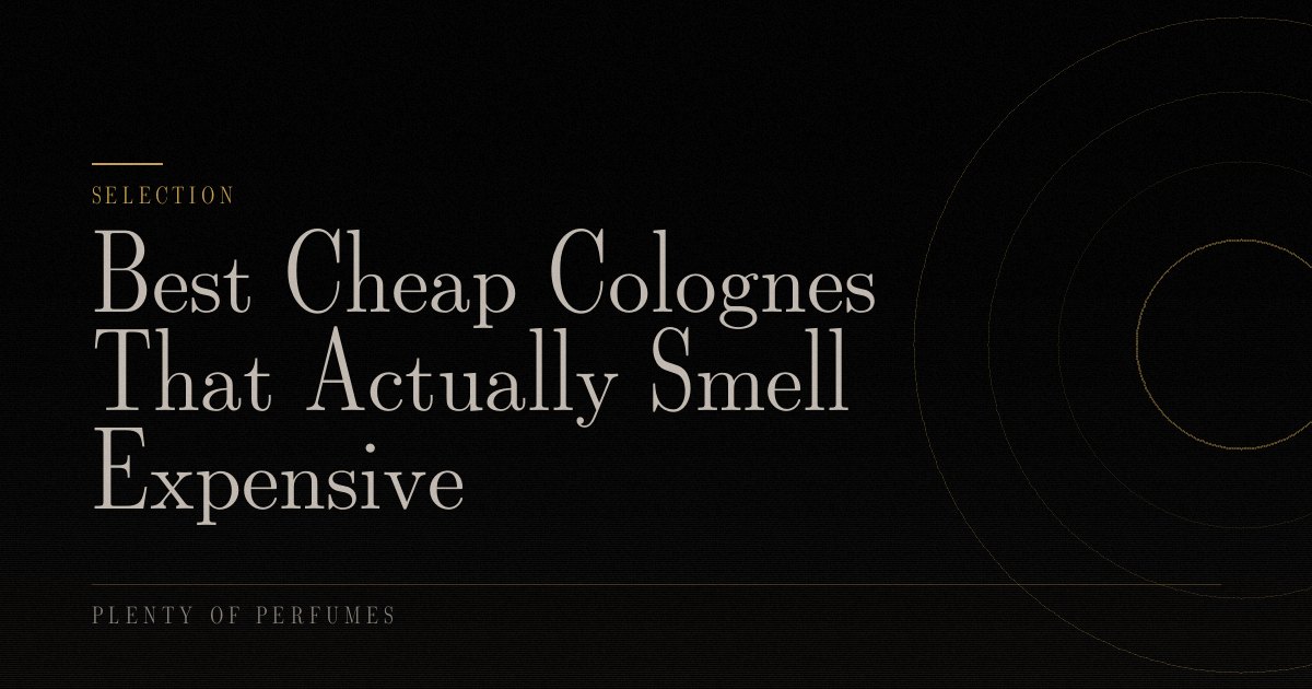 Best Cheap Colognes That Actually Smell Expensive Best Cheap Colognes That Actually Smell Expensive